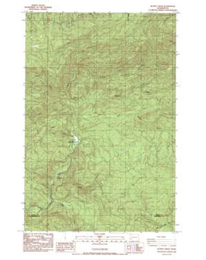 Blaney Creek topo map