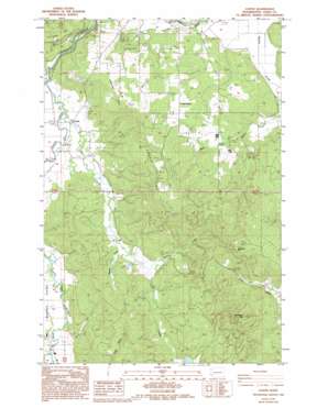 Curtis USGS topographic map 46123e1