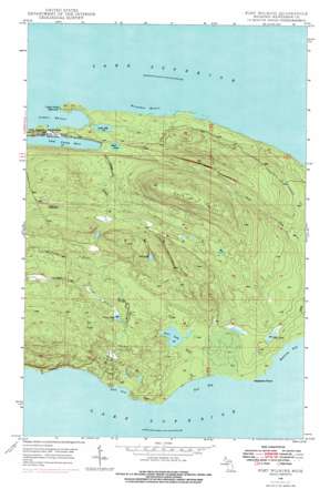 Fort Wilkins topo map