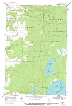 Rice Lake USGS topographic map 47088b3