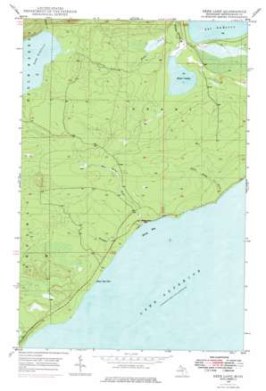 Deer Lake USGS topographic map 47088c1