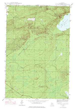 Bruneau Creek USGS topographic map 47088c2