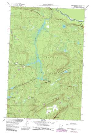 Farquhar Peak USGS topographic map 47089h8