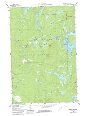 Sawbill Camp USGS topographic map 47090g7