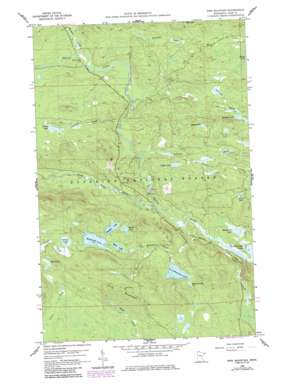Pine Mountain USGS topographic map 47090h3