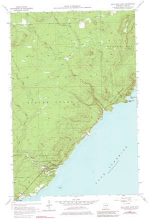 Split Rock Point USGS topographic map 47091b4