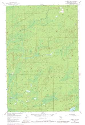 Babbitt Sw USGS topographic map 47091e8