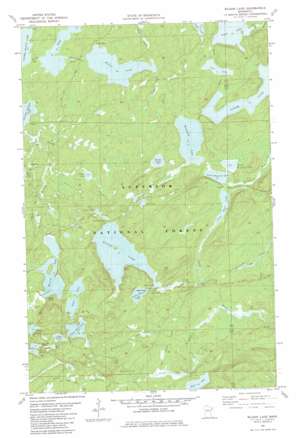 Wilson Lake USGS topographic map 47091f1