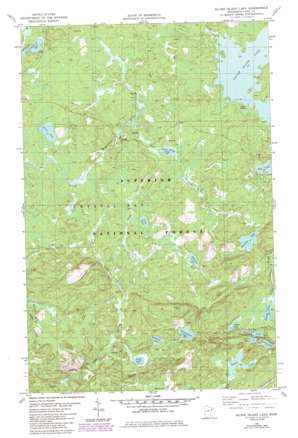Silver Island Lake USGS topographic map 47091f2