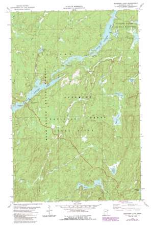 Bogberry Lake USGS topographic map 47091g6