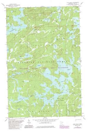Lake Insula USGS topographic map 47091h3