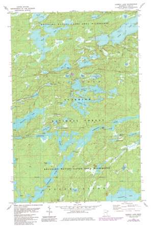 Ojibway Lake topo map