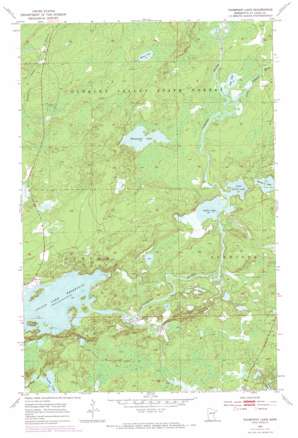 Thompson Lake topo map