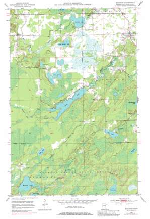 Makinen USGS topographic map 47092c3