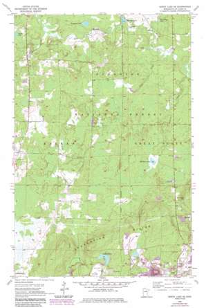 Dewey Lake SE USGS topographic map 47092e7
