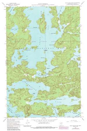 Sioux Pine Island topo map