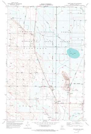 Deer River Ne USGS topographic map 47093d7