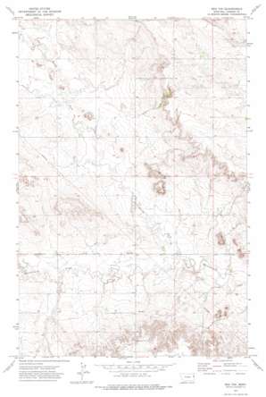 Red Top topo map