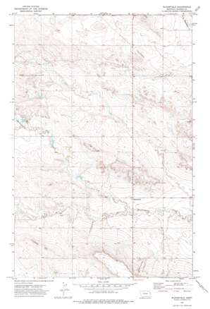 Bloomfield USGS topographic map 47104d8