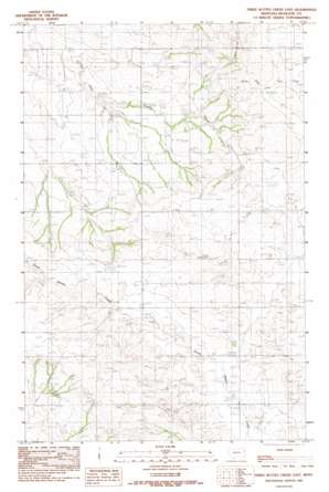 Three Buttes Creek East topo map