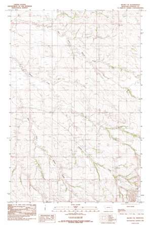 Richey USGS topographic map 47105e1