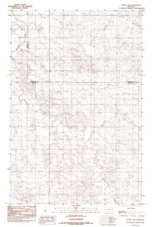 Richey NW USGS topographic map 47105f2