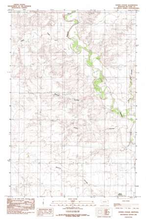 Dowse Coulee topo map