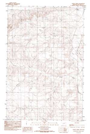 Turtle Creek USGS topographic map 47105h8