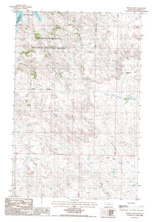 Buffalo Hill USGS topographic map 47106e7