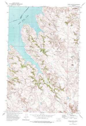 Signal Butte topo map