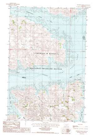 Peterson Point USGS topographic map 47106f8