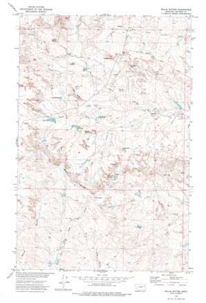 Willis Buttes USGS topographic map 47106g1