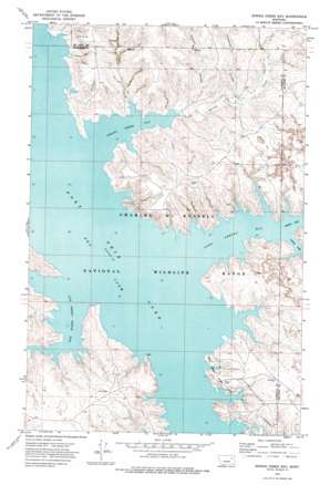 Spring Creek Bay USGS topographic map 47106g3