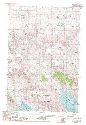 Brown Pass USGS topographic map 47106g8