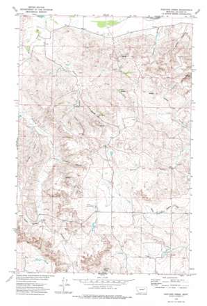 Pasture Creek topo map