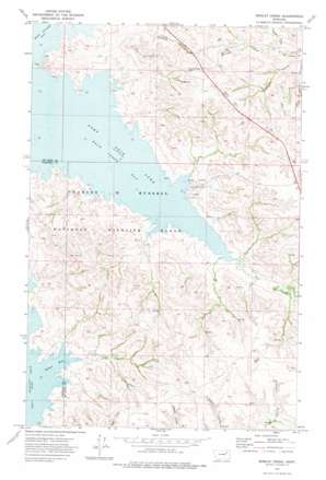 Bobcat Creek USGS topographic map 47106h3