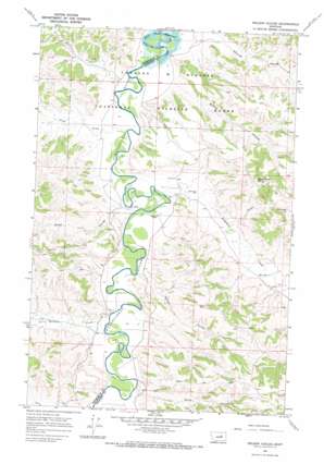 Nelson Coulee topo map
