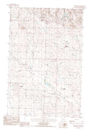 Biscuit Butte topo map
