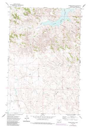 Fort Peck Lake West USGS topographic map 47107e1