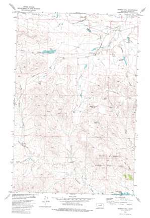 Murray Hill topo map