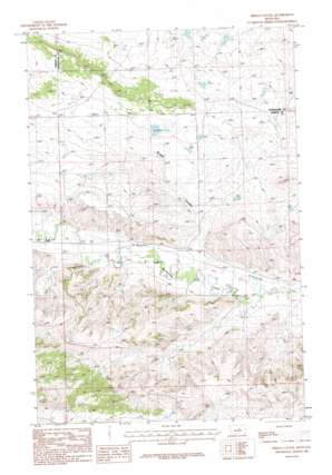 Briggs Coulee USGS topographic map 47108a6