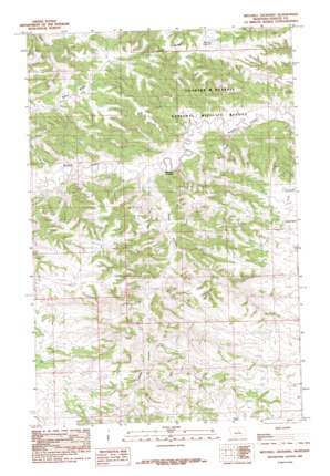 Mitchell Crossing USGS topographic map 47108e7