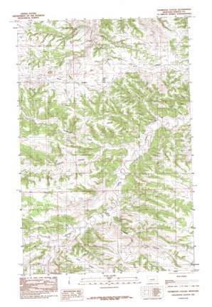 Thompson Coulee topo map