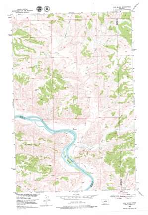 Cow Island USGS topographic map 47108g8