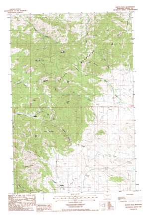 Judith Peak USGS topographic map 47109b2