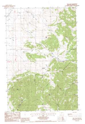 New Year topo map