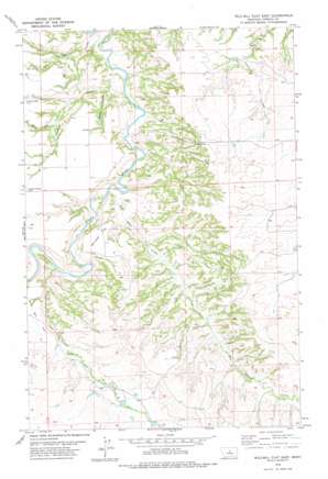 Wild Bill Flat East USGS topographic map 47109d5