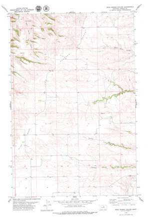 Soda Spring Coulee USGS topographic map 47109d7