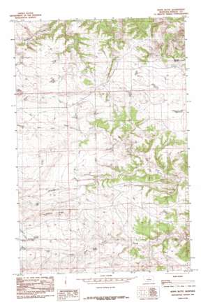 Reppe Butte USGS topographic map 47109f1