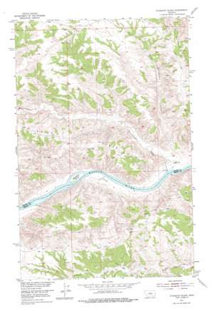 Sturgeon Island USGS topographic map 47109g1